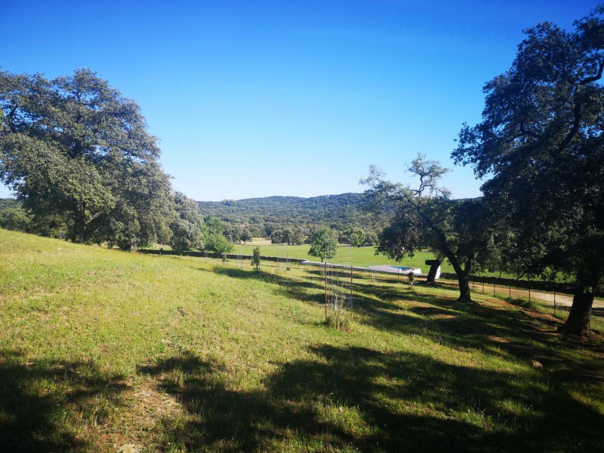 Casa Rural La Dehesilla Cazalla de la Sierra Εξωτερικό φωτογραφία