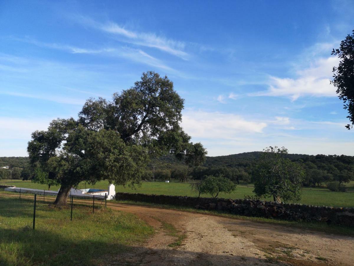 Casa Rural La Dehesilla Cazalla de la Sierra Εξωτερικό φωτογραφία